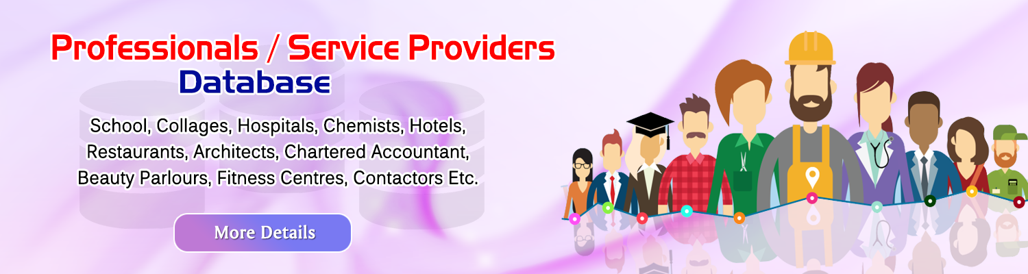 Professional Service Provider 